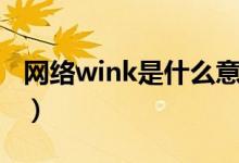 网络wink是什么意思（网络wink什么意思啊）