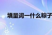 填量词一什么粽子（填量词一什么雄鸡）