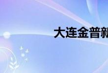 大连金普新区属于哪个区