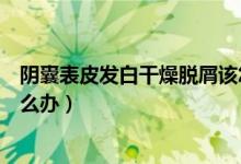 阴囊表皮发白干燥脱屑该怎么治（阴茎上有白色干燥脱皮怎么办）