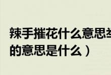 辣手摧花什么意思举个例子（辣手摧花花满地的意思是什么）