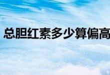 总胆红素多少算偏高(总胆红素多少算偏高)