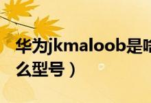 华为jkmaloob是啥型号（华为jkmtloo是什么型号）