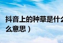 抖音上的种草是什么意思（抖音上的种草是什么意思）