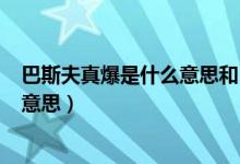 巴斯夫真爆是什么意思和boost的区别（巴斯夫真爆是什么意思）