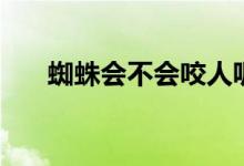 蜘蛛会不会咬人呢（蜘蛛会不会咬人）