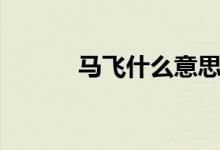 马飞什么意思（马飞什么意思）