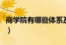 商学院有哪些体系及课程（商学院有哪些专业）