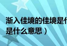 渐入佳境的佳境是什么意思（渐入佳境的意思是什么意思）