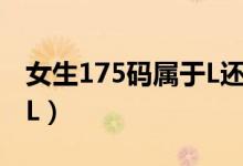 女生175码属于L还是XL(175码属于L还是XL)