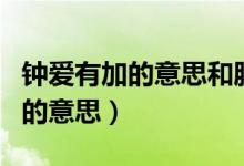 钟爱有加的意思和脱胎换骨的意思（钟爱有加的意思）
