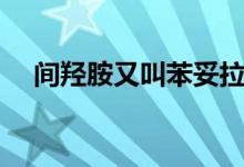 间羟胺又叫苯妥拉明（间羟胺又叫什么）