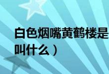 白色烟嘴黄鹤楼是哪种（20黄鹤楼空心烟嘴叫什么）