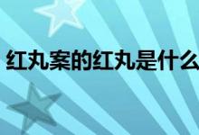 红丸案的红丸是什么(红丸案的红丸是什么)