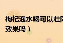 枸杞泡水喝可以壮阳吗(枸杞泡水喝对壮阳有效果吗)