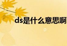 ds是什么意思啊（DS是什么意思啊）