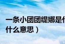 一条小团团缇娜是什么梗（一条小团团缇娜是什么意思）