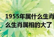 1955年属什么生肖属相的大了（1953年属什么生肖属相的大了）