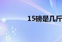 15磅是几斤（15磅是几斤）