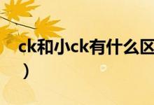 ck和小ck有什么区别（ck和小ck有什么区别）