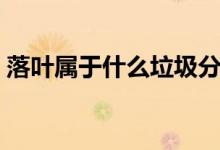 落叶属于什么垃圾分类（落叶属于什么垃圾）