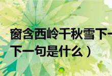 窗含西岭千秋雪下一句是啥（窗含西岭千秋雪下一句是什么）