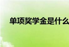 单项奖学金是什么（单项奖学金是什么）