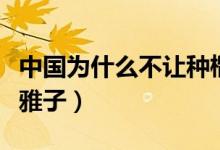 中国为什么不让种榴莲（中国为什么不让种奇雅子）
