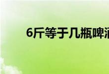 6斤等于几瓶啤酒（6斤等于多少升）