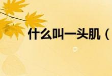 什么叫一头肌（一头肌是哪个部位）