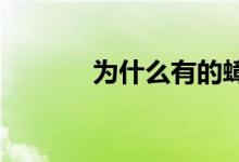 为什么有的蟑螂会飞有的不会