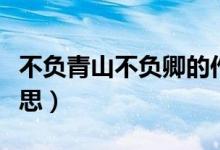 不负青山不负卿的作文（不负青山不负卿的意思）