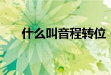 什么叫音程转位（什么叫音程的音数）