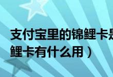 支付宝里的锦鲤卡是干嘛用的（支付宝中了锦鲤卡有什么用）