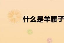 什么是羊腰子（什么是羊羔绒）