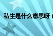 私生是什么意思呀（私生是什么意思 粉丝）