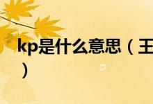 kp是什么意思（王者kp是什么意思网络用语）