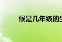候是几年级的生字（候是姓氏吗）
