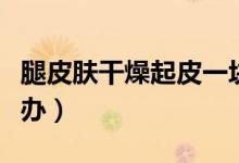 腿皮肤干燥起皮一块块（腿皮肤干燥起皮怎么办）
