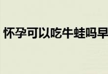 怀孕可以吃牛蛙吗早期(怀孕可以吃牛蛙吗)