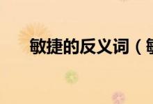敏捷的反义词（敏捷意思相反的词语）