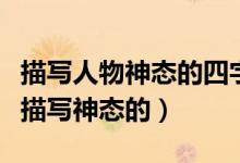 描写人物神态的四字词语（哪些四个字成语是描写神态的）