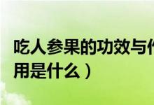 吃人参果的功效与作用（吃人参果的功效与作用是什么）