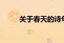 关于春天的诗句（推荐这些诗句）