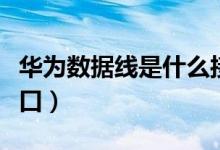华为数据线是什么接口（华为数据线是什么接口）