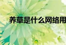 养草是什么网络用语（养草是什么意思）