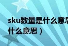 sku数量是什么意思通俗易懂点（sku数量是什么意思）