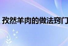 孜然羊肉的做法窍门（孜然羊肉的做法步骤）