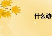 什么动物吃仙人掌