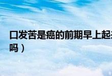口发苦是癌的前期早上起来口发苦（口发苦是癌的前期征兆吗）